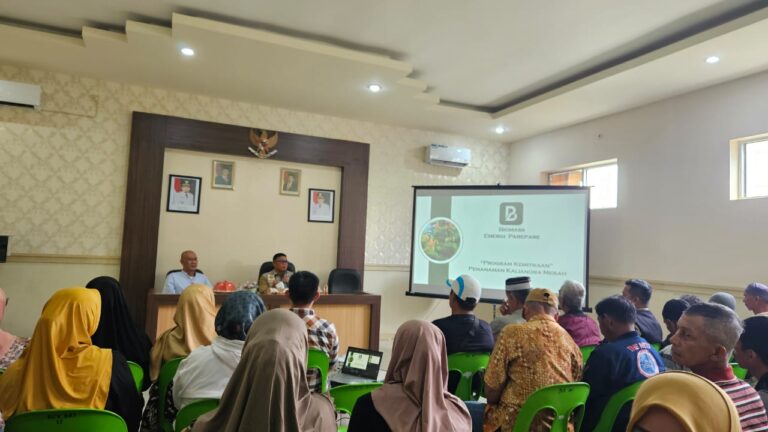 Kaliandra Merah Jadi Andalan Energi Terbarukan, Biomass Energi Parepare Gandeng Kelompok Tani