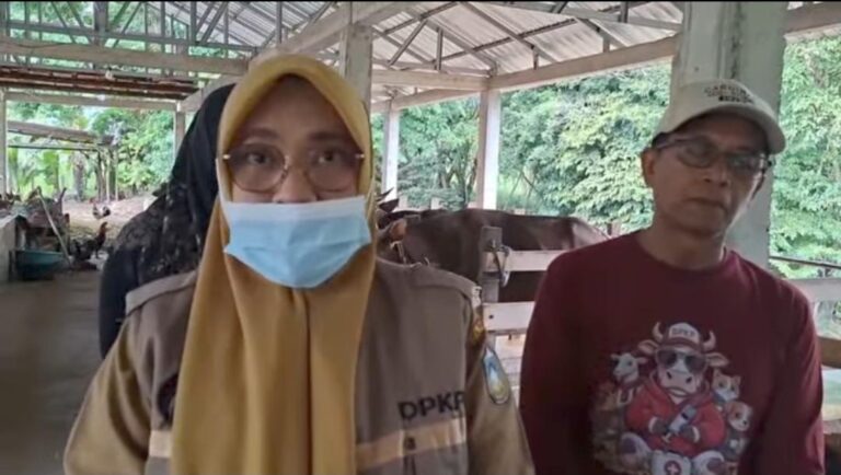 Pastikan Kelayakan Hewan Kurban, Dinas PKP Parepare Mulai Lakukan Pendataan dan Pemeriksaan Kesehatan
