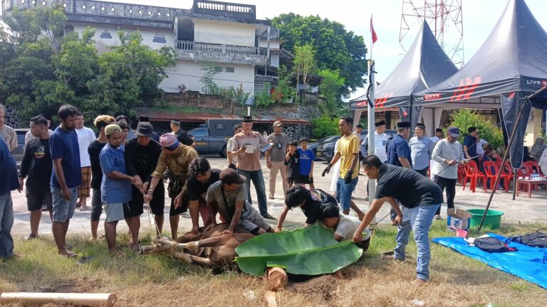 Hari Raya Idul Adha 1447 H, Polres Parepare Qurbankan 10 Sapi dan 1 Kambing