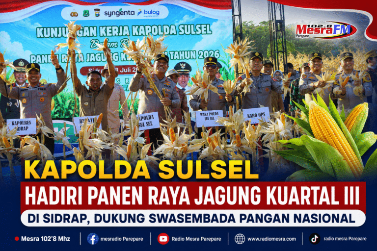 Kapolda Sulsel Hadiri Panen Raya Jagung Kuartal III di Sidrap, Dukung Swasembada Pangan Nasional