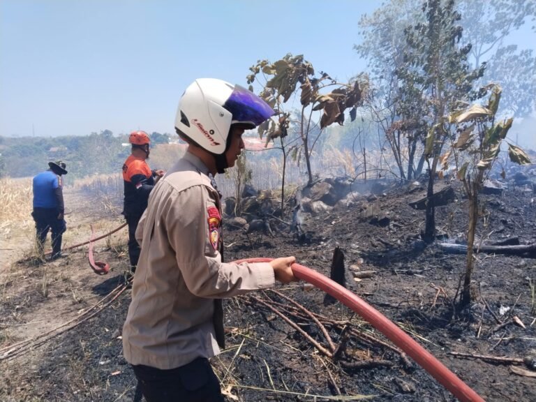 Polsek Bacukiki Bersama Brimob Bantu Tangani Kebakaran Pertashop dan Kebun Jagung di Bumi Harapan
