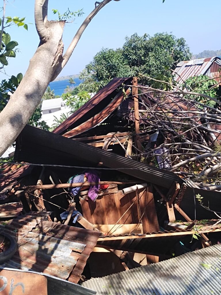 Pohon Tua Tumbang di Cappa Galung Parepare, Polsek Bacukiki Bantu Dua Rumah Warga yang Rusak