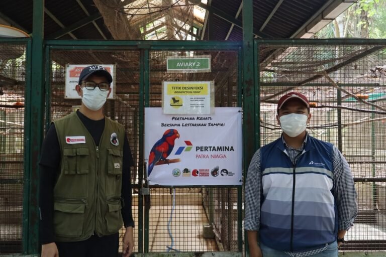 Pertamina Patra Niaga Regional Sulawesi Perkuat Konservasi Burung Nuri Talaud melalui Edukasi dan Program Breeding di Bitung